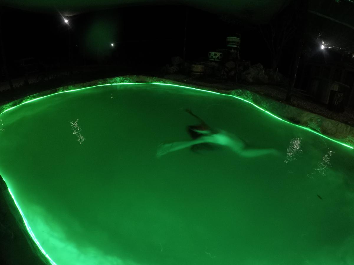 Eco Camping Valladolid バリャドリッド エクステリア 写真